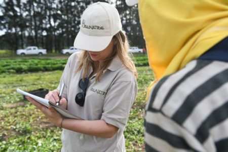 Renatre lanza plan de pago para regularizar deudas de la Seguridad Social imagen-13