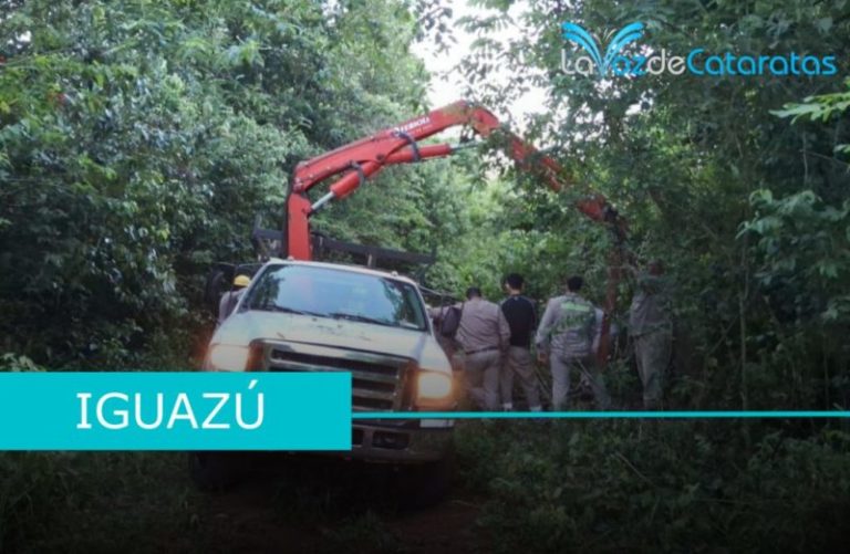 Según Energía de Misiones, hubo sabotaje en la línea de 33 KV que dejó sin luz a Iguazú imagen-5