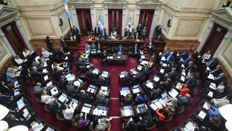 Senado: la suspensión de las PASO obtuvo dictamen y se debatirá en el recinto imagen-5