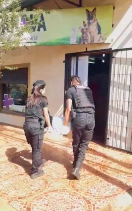 Se incrementan las Denuncias por Abandono y Maltrato Animal: nuevamente la policía rescató a un perro herido en la calle imagen-103