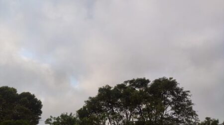 Miércoles con nubosidad y temperaturas templadas en Misiones imagen-96