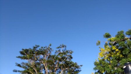 El tiempo mejora en la provincia: regresa el sol y bajan las temperaturas imagen-19