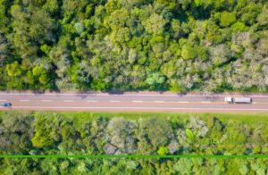 Cuidá la selva: un llamado a la conciencia en las rutas este fin de semana largo imagen-75