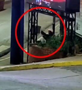 Captaron por cámaras y detuvieron a una joven por daños a una pantalla publicitaria en Puerto Iguazú imagen-1