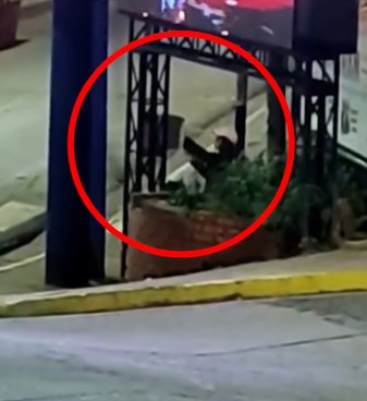 Captaron por cámaras y detuvieron a una joven por daños a una pantalla publicitaria en Puerto Iguazú imagen-14
