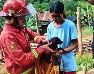 Un perrito fue rescatado de un pozo de 15 metros por los Bomberos policiales imagen-97