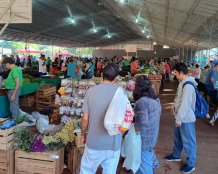 Ferias Francas y Mercado Concentrador Zonal funcionan este jueves imagen-104