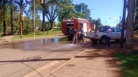 Camión derramó guano de gallina y los bomberos tuvieron que salir a baldear las calles de Aristóbulo del Valle imagen-96