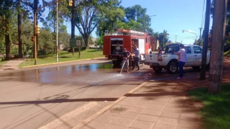 Camión derramó guano de gallina y los bomberos tuvieron que salir a baldear las calles de Aristóbulo del Valle imagen-5