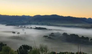 Otoño helado en Brasil: São Joaquim registró -1,9 °C y la helada cubrió la sierra catarinense imagen-2
