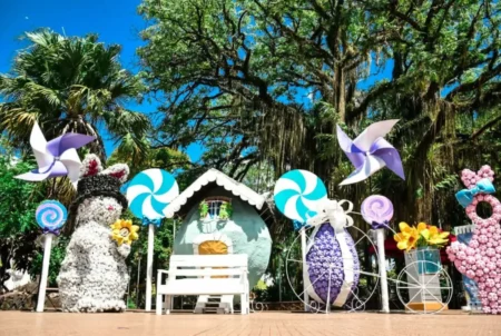 Mirá las actividades de Semana Santa en Eldorado este sábado imagen-109