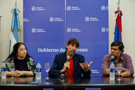 Misiones impulsa el teatro independiente para infancias con nuevo programa de fomento imagen-21