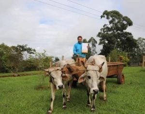 Familias de zonas rurales y urbanas de El Soberbio recibirán 67 nuevos títulos de propiedad imagen-6