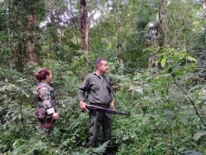 Áreas naturales protegidas: abril cerró con fuertes operativos contra cazadores furtivos en Misiones imagen-8