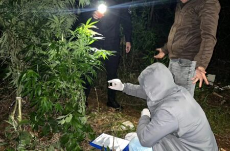 Secuestran droga valuada en siete millones oculta en una construcción en San Pedro imagen-66