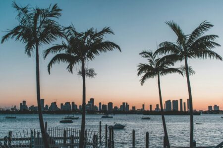 Ni inglés, ni español: este es el “nuevo lenguaje” que nació en Florida con la inmigración imagen-12