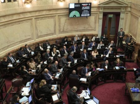 🔴 En vivo. Ficha Limpia: el Gobierno y sus aliados buscan proscribir a Cristina Kirchner imagen-7