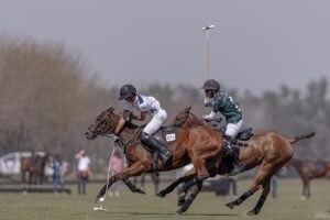 El cuidado de los caballos para un polo cada vez mejor imagen-3