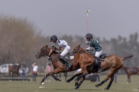 El cuidado de los caballos para un polo cada vez mejor imagen-12