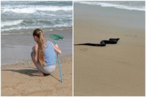 El encuentro viral de una niña con una serpiente en una playa de Maryland imagen-1