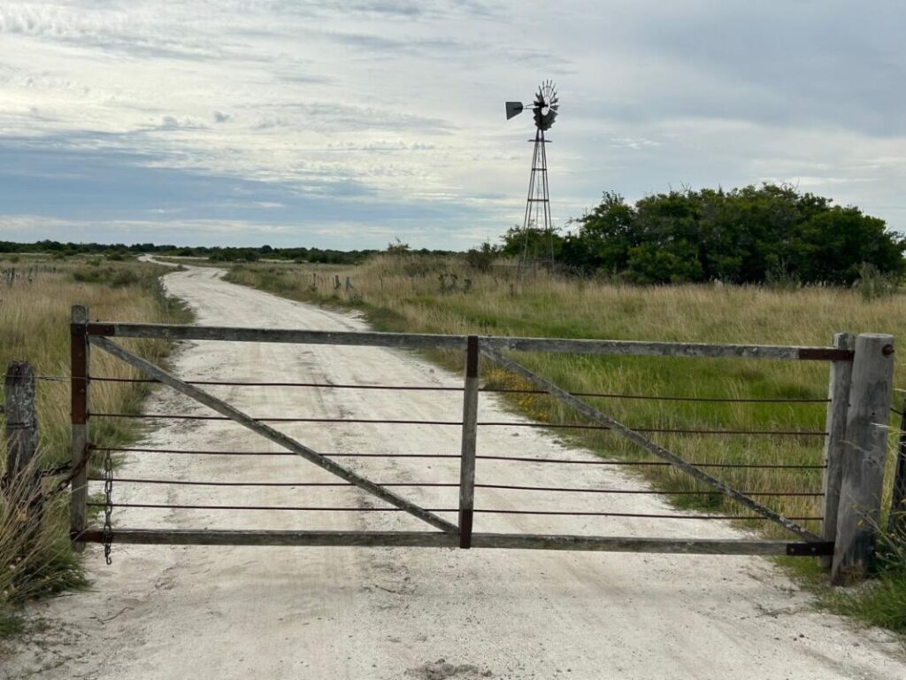 El efecto “góndola vacía” que llegó al mercado de campos y mueve las operaciones imagen-5