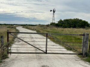 El efecto “góndola vacía” que llegó al mercado de campos y mueve las operaciones imagen-1