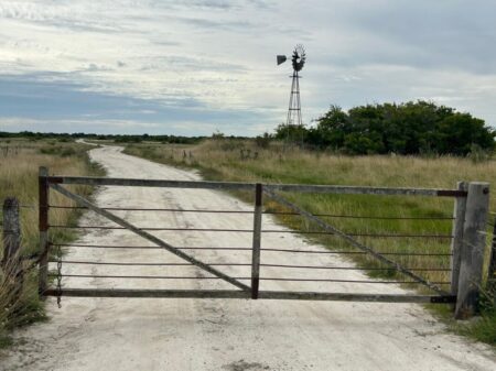El efecto “góndola vacía” que llegó al mercado de campos y mueve las operaciones imagen-10