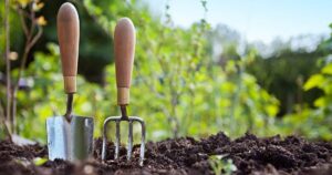 Esta es la forma correcta de germinar brotes de hortalizas en casa según un experto en alimentos de origen vegetal imagen-3