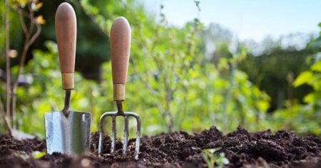 Esta es la forma correcta de germinar brotes de hortalizas en casa según un experto en alimentos de origen vegetal imagen-17