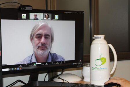 Según estudios científicos, el mate mejora la salud ósea imagen-11