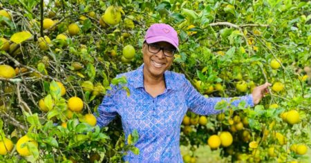 Ponele canela a tu limonero: el truco casero de los jardineros para llenar de frutos tu árbol imagen-9