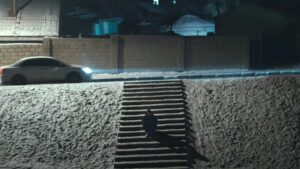 Nunca has visto una película de este país, pero ésta cinta biográfica ha sido reconocida en una docena de festivales imagen-116