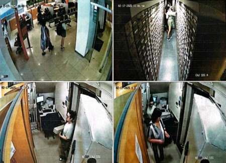 Después de la criptoestafa, la familia Novelli vació sus cajas de seguridad imagen-8