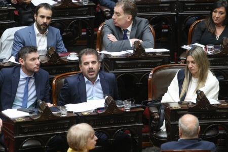 Fractura expuesta: El PRO se divide en Diputados y complica los acuerdos con Milei imagen-6