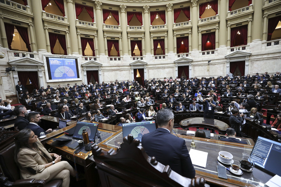 "Dólar colchón": en el Congreso solo hay dudas y más desconfianza imagen-94