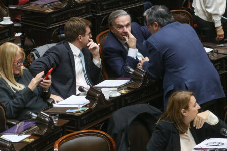 La oposición vuelve a la carga en Diputados con agenda anti motosierra imagen-9