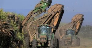 Sorpresa por el aumento de más del 450% en el monto de las exportaciones de un sector: fue el que más creció de la agroindustria imagen-4
