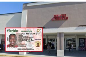 US$1000 y hasta un año de cárcel: el nuevo delito en este proyecto de ley de Florida sobre la licencia de conducir imagen-2