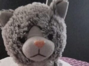 Un niño con autismo perdió su peluche y le pidieron $200.000 de rescate a su familia imagen-3