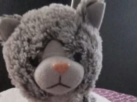 Un niño con autismo perdió su peluche y le pidieron $200.000 de rescate a su familia imagen-8