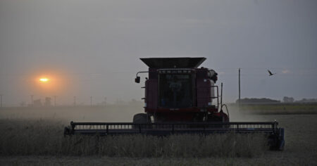 "No abandonó los lotes": sorpresa en la cosecha de soja por los rindes en la principal región agrícola y elevan la estimación imagen-7