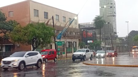 El temporal soltó la bandera del mástil en Mitre y Uruguay imagen-8