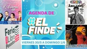 Agenda de #ElFinde | Mirá todo lo que podés hacer este fin de semana en Misiones imagen-11