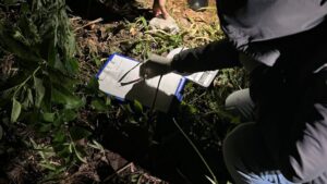 Encuentran droga oculta en una obra en construcción imagen-2