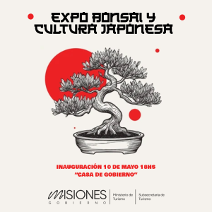 Misiones celebra la cultura japonesa con la Expo Bonsái en Casa de Gobierno imagen-7