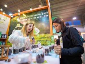 Expo Té Argentina 2025: dos jornadas para celebrar la identidad productiva de Misiones imagen-8
