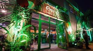 Posadas | Con presentaciones de productos, patio gastronómico, experiencias sensoriales y mucho más ya se vive una nueva edición de la Expo Té Argentina 2025 imagen-3