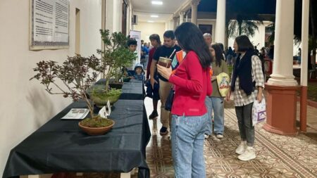 Exitosa inauguración de “La Expo Bonsái y Cultura Japonesa” en Posadas imagen-76