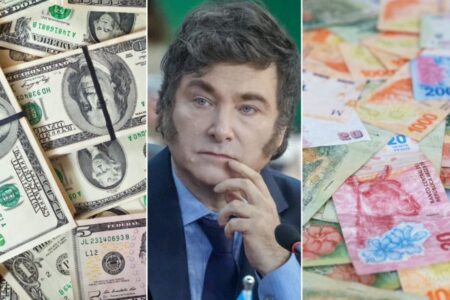 El número detrás de un fenómeno clave para Milei en las elecciones imagen-7