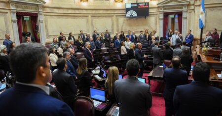 Javier Milei y sus medidas, EN VIVO: día clave en el Senado para el proyecto de Ficha Limpia que pone en jaque la candidatura de Cristina Kirchner imagen-16